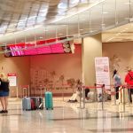 Avis Car Rental