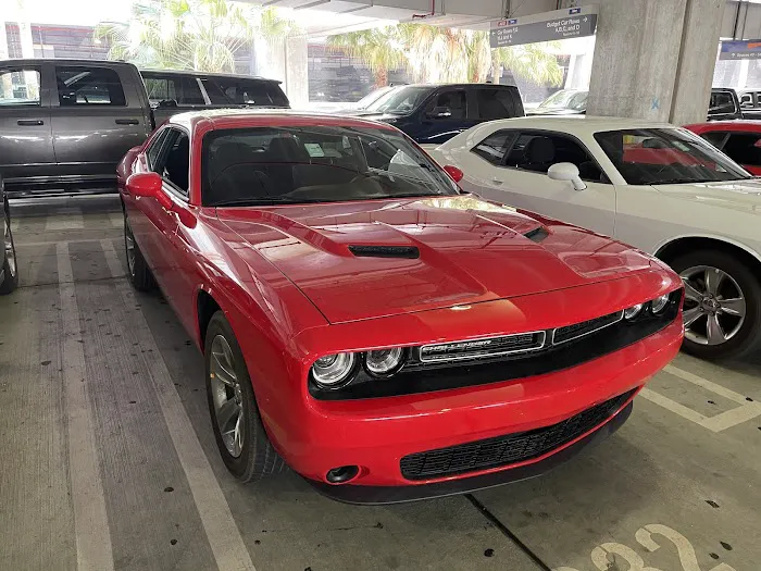 Avis Car Rental Picture 10