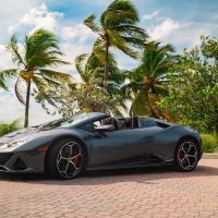 LIV Exotic Rentals ico