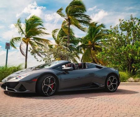 LIV Exotic Rentals