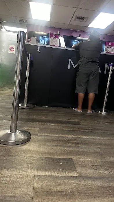 Miami Life Cars Picture 4