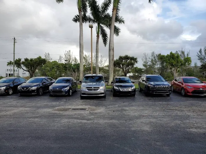 Miami Life Cars Picture 9