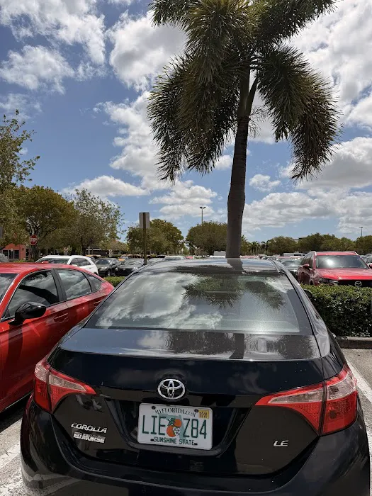 Ossa Rent a Car Picture 2