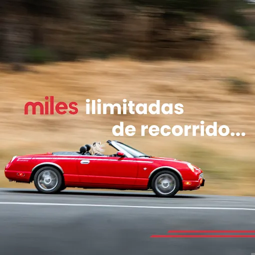 Miles Car Rental Picture 3