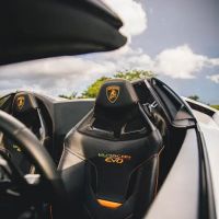 Royals Exclusive ico