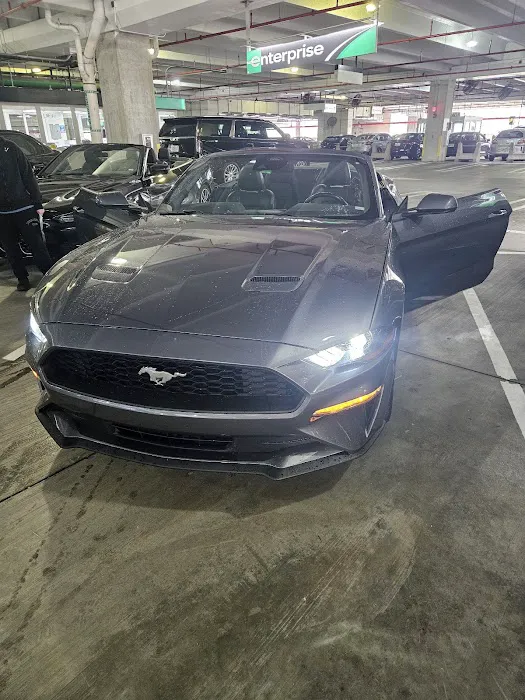Enterprise Rent-A-Car Picture 10