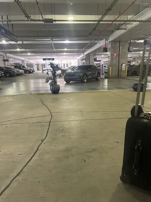 Thrifty Car Rental - Miami International Airport Picture 5