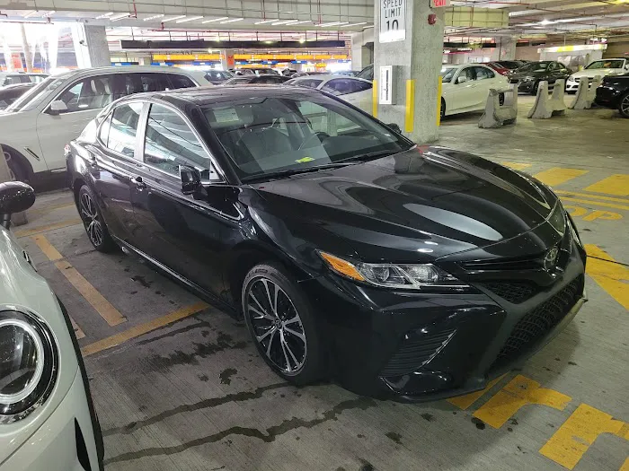 ACE Rent A Car Picture 7