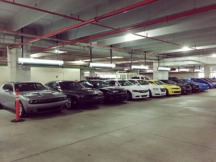Family Auto Picture 2