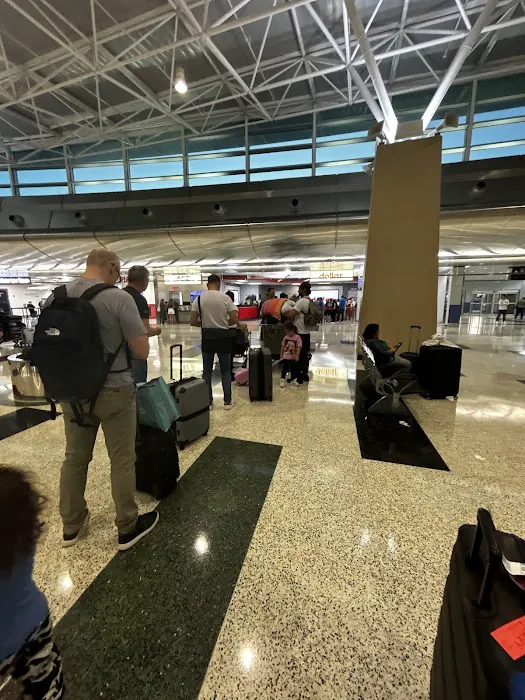 Dollar Car Rental - Miami Ap Picture 1