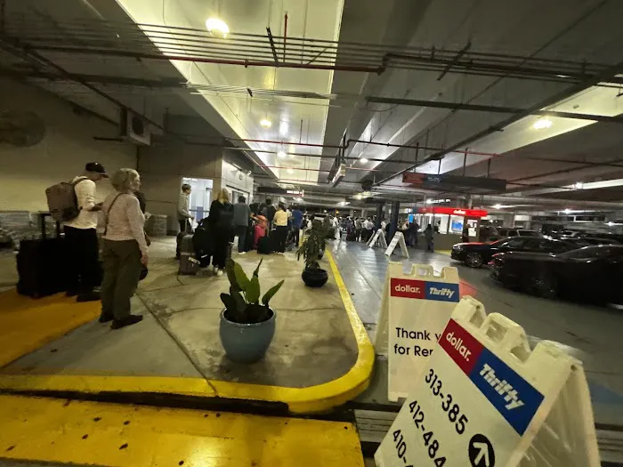 Dollar Car Rental - Miami Ap Picture 3