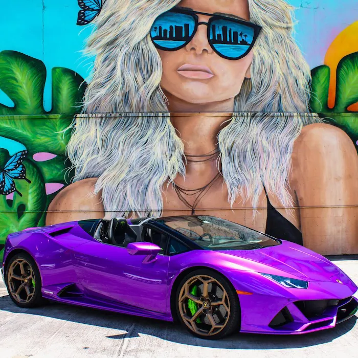 American Luxury Rentals Picture 3