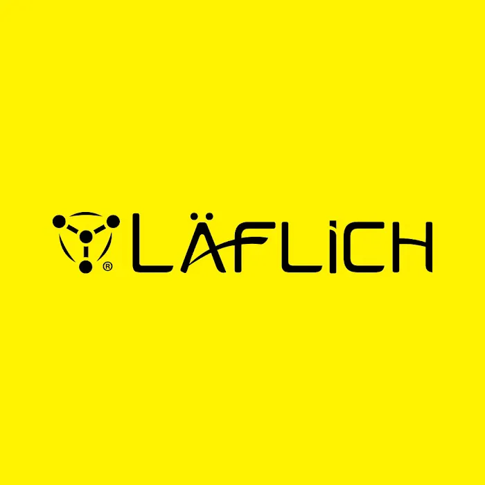 LAFLICH RENTAL CAR Picture 9