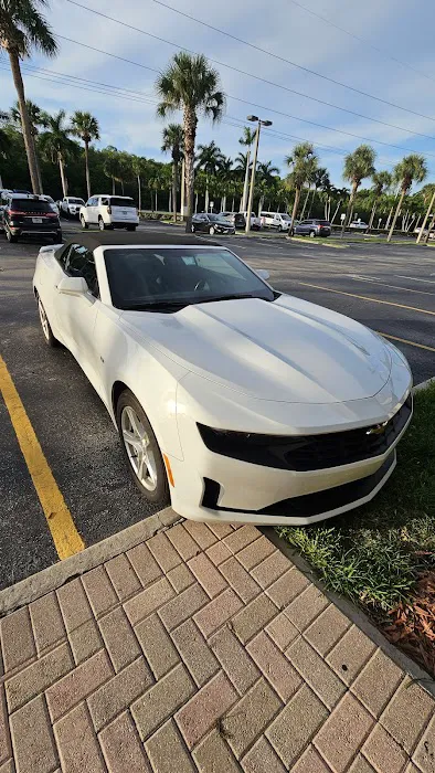 Budget Car Rental Picture 4
