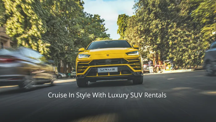 Luxury SUV LLC Picture 1