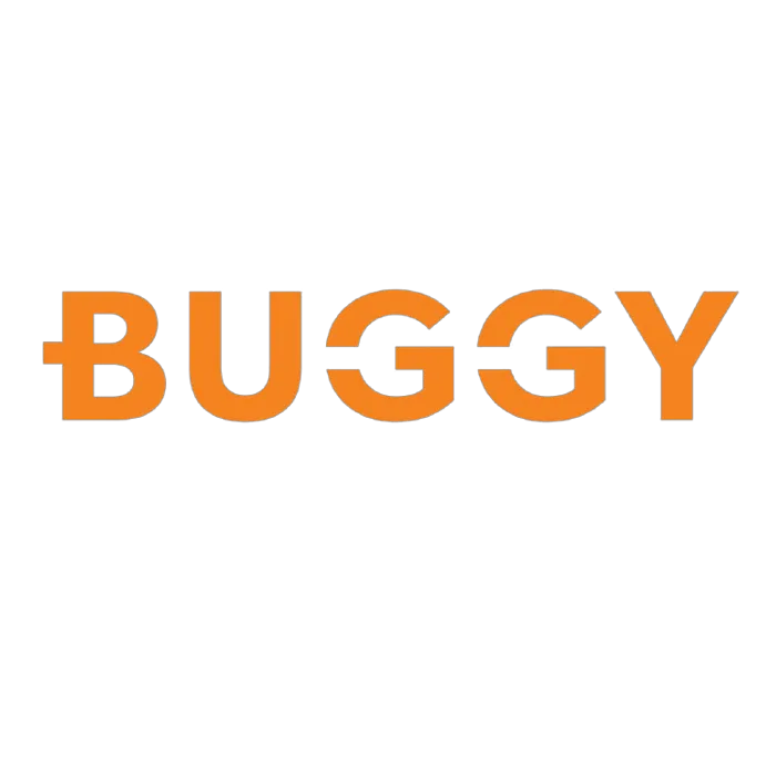 Drive Buggy Car Rentals Picture 9