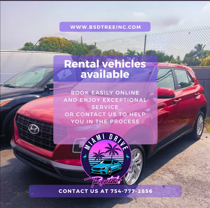 Miami Drive Rentals Picture 5