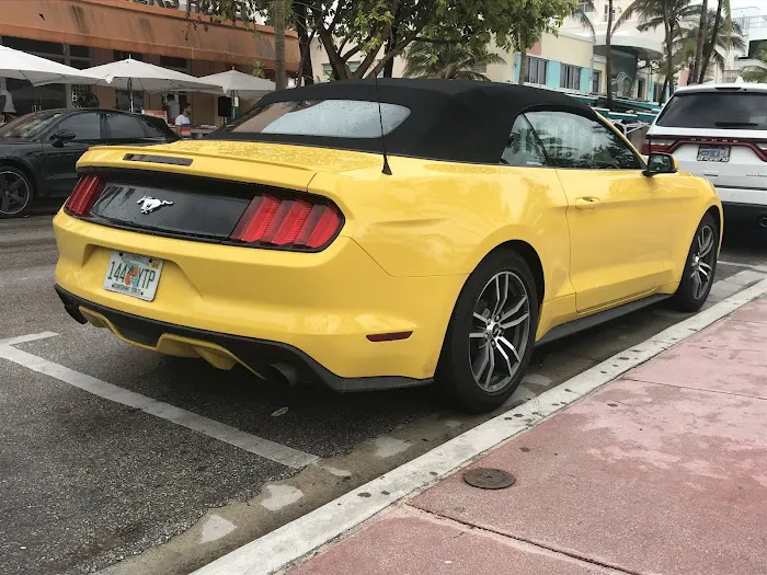 Alamo Rent A Car Picture 7