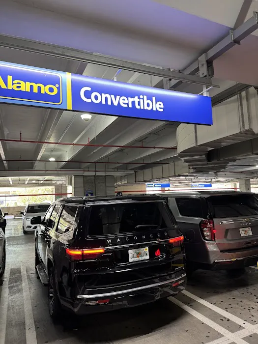 Alamo Rent A Car Picture 5