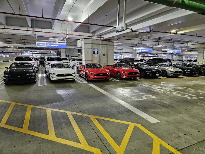 Alamo Rent A Car Picture 3