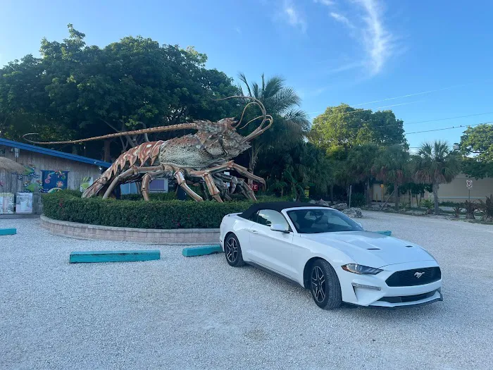 Alamo Rent A Car Picture 10