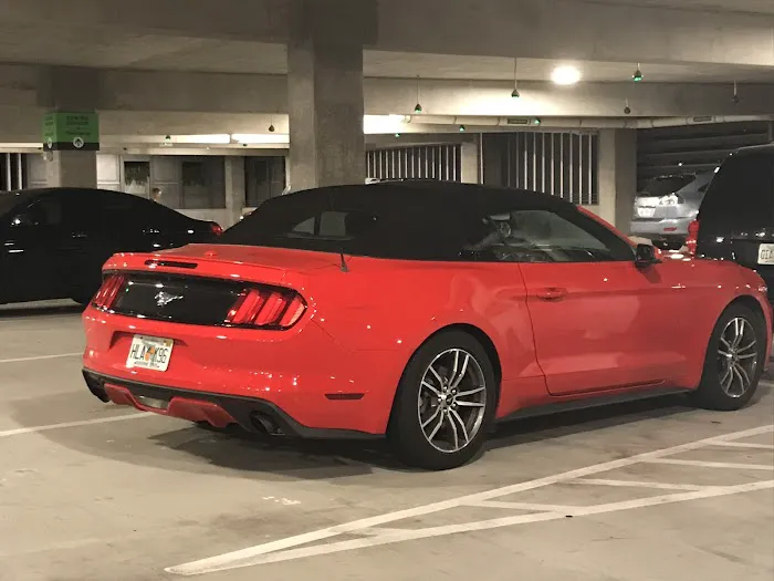 Alamo Rent A Car Picture 9