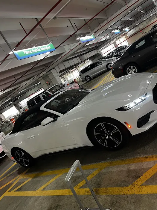 National Car Rental Picture 9
