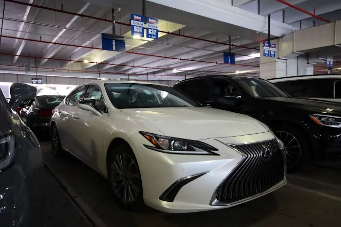 Budget Car Rental Picture 6