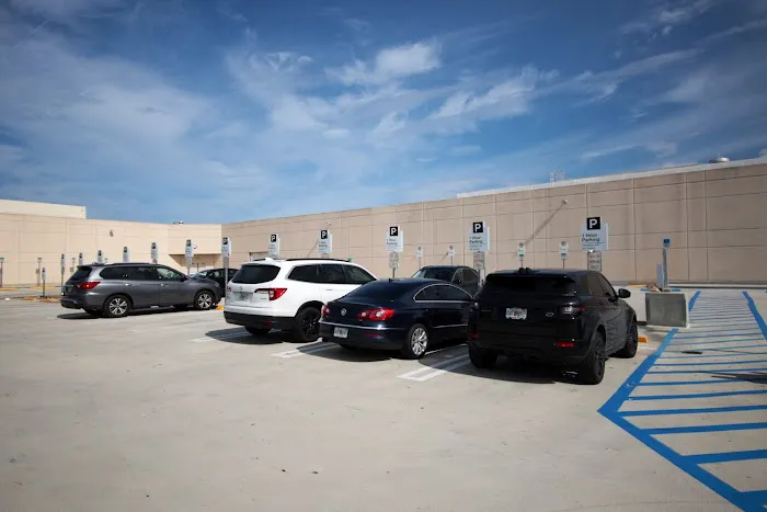 Budget Car Rental Picture 4