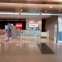 Payless Car Rental ico