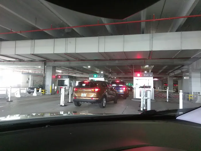 Payless Car Rental Picture 3