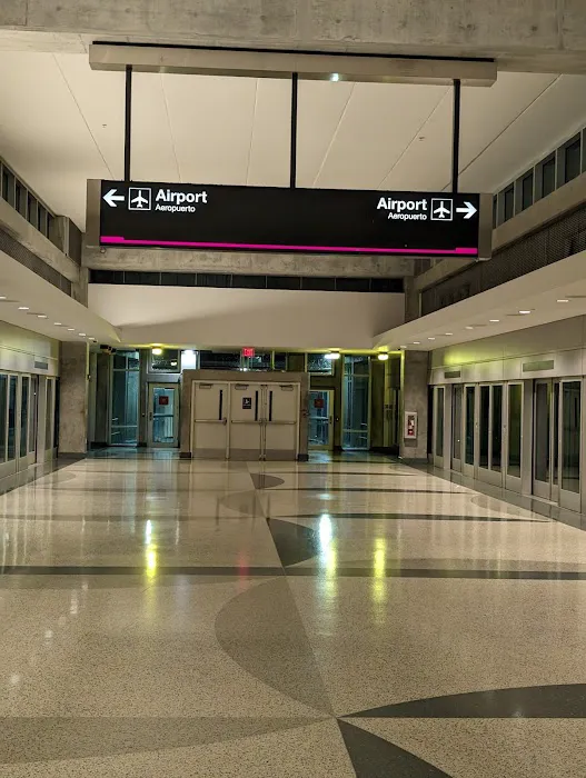 Payless Car Rental Picture 6