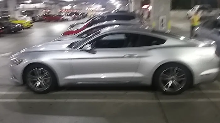 Payless Car Rental Picture 9