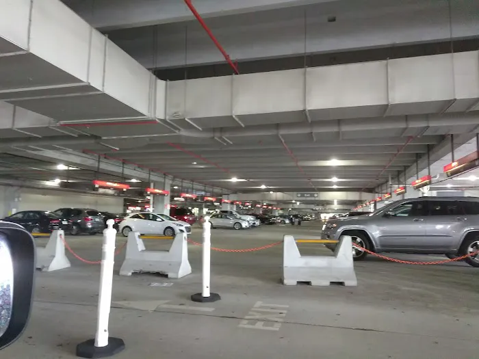 Payless Car Rental Picture 7