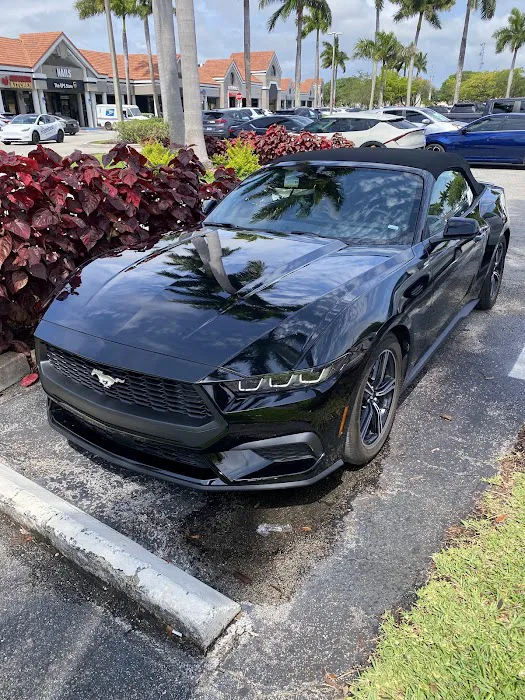 Alamo Rent A Car Dealer Picture 1