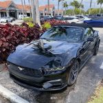 Alamo Rent A Car Dealer