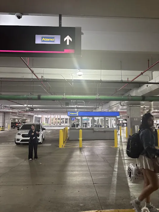 Alamo Rent A Car Dealer Picture 5