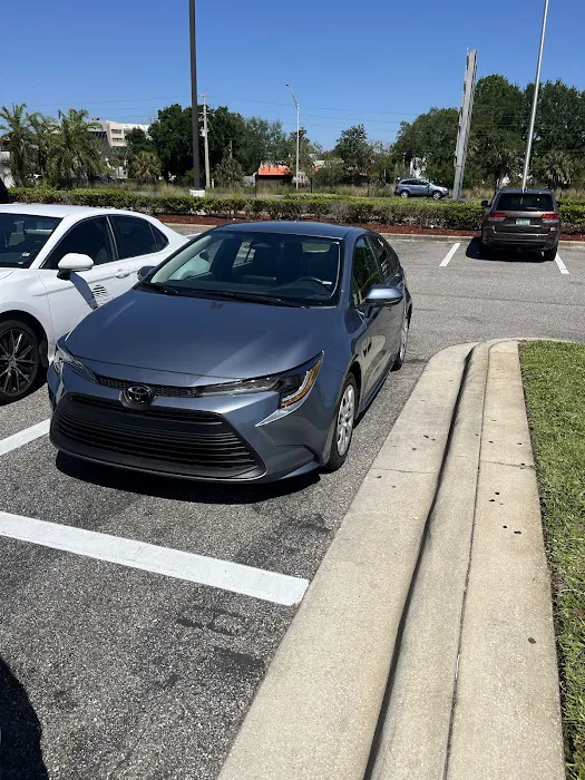 Alamo Rent A Car Dealer Picture 4