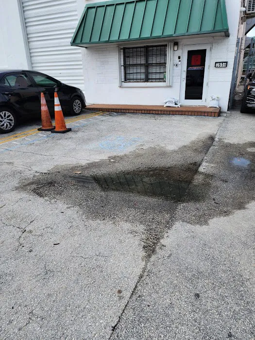Vip Auto Rentals Picture 8
