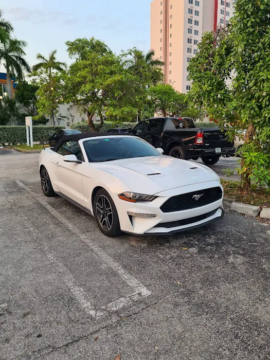 Florida Premium Rentacar Picture 3
