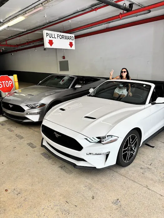 JSPE VIP Rent a Car - Miami Picture 6