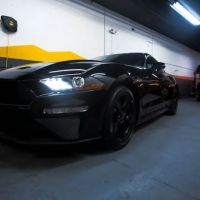 Dash Rent a Car ico
