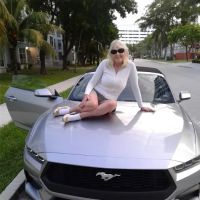 Alamo Rent A Car ico