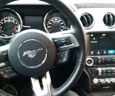 Avis Car Rental