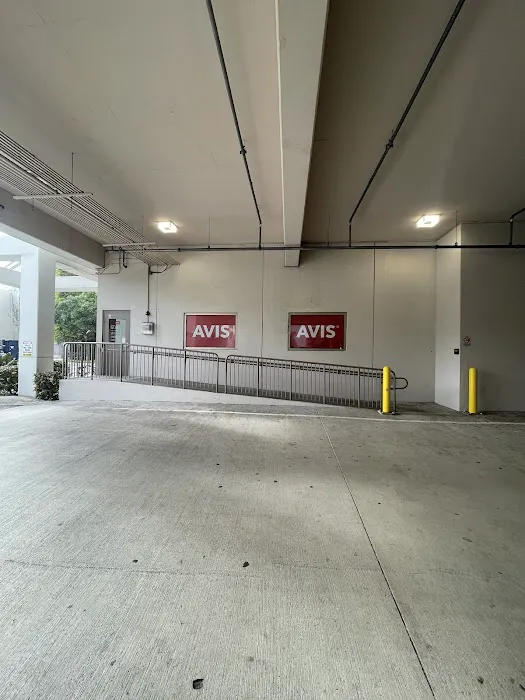 Avis Car Rental Picture 5