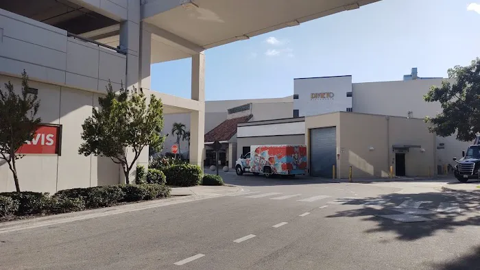 Avis Car Rental Picture 4