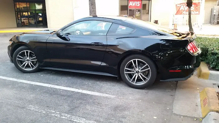 Avis Car Rental Picture 10
