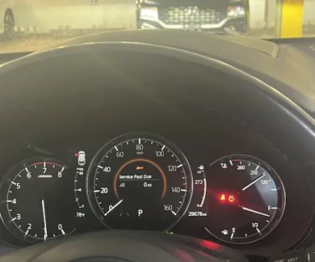 Budget Car Rental