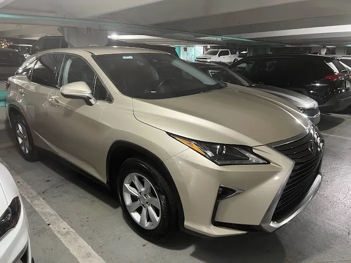 Grendal Rent a Car (Miami) Picture 6