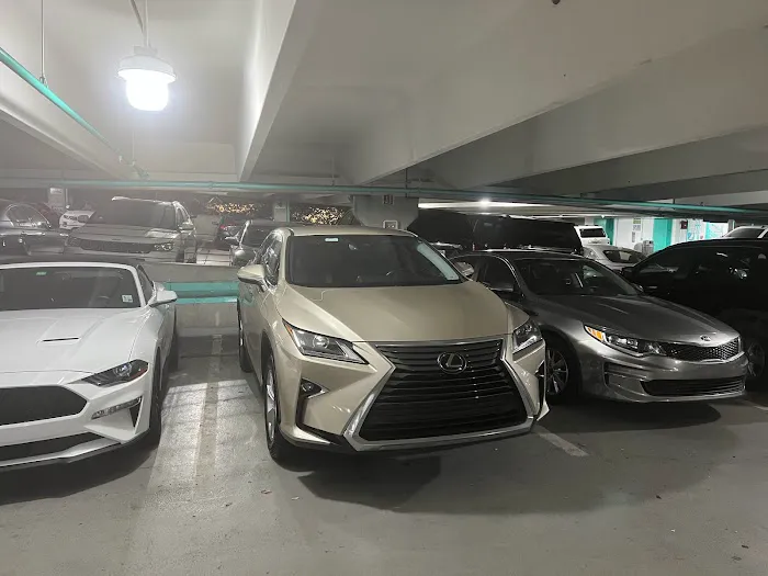 Grendal Rent a Car (Miami) Picture 8